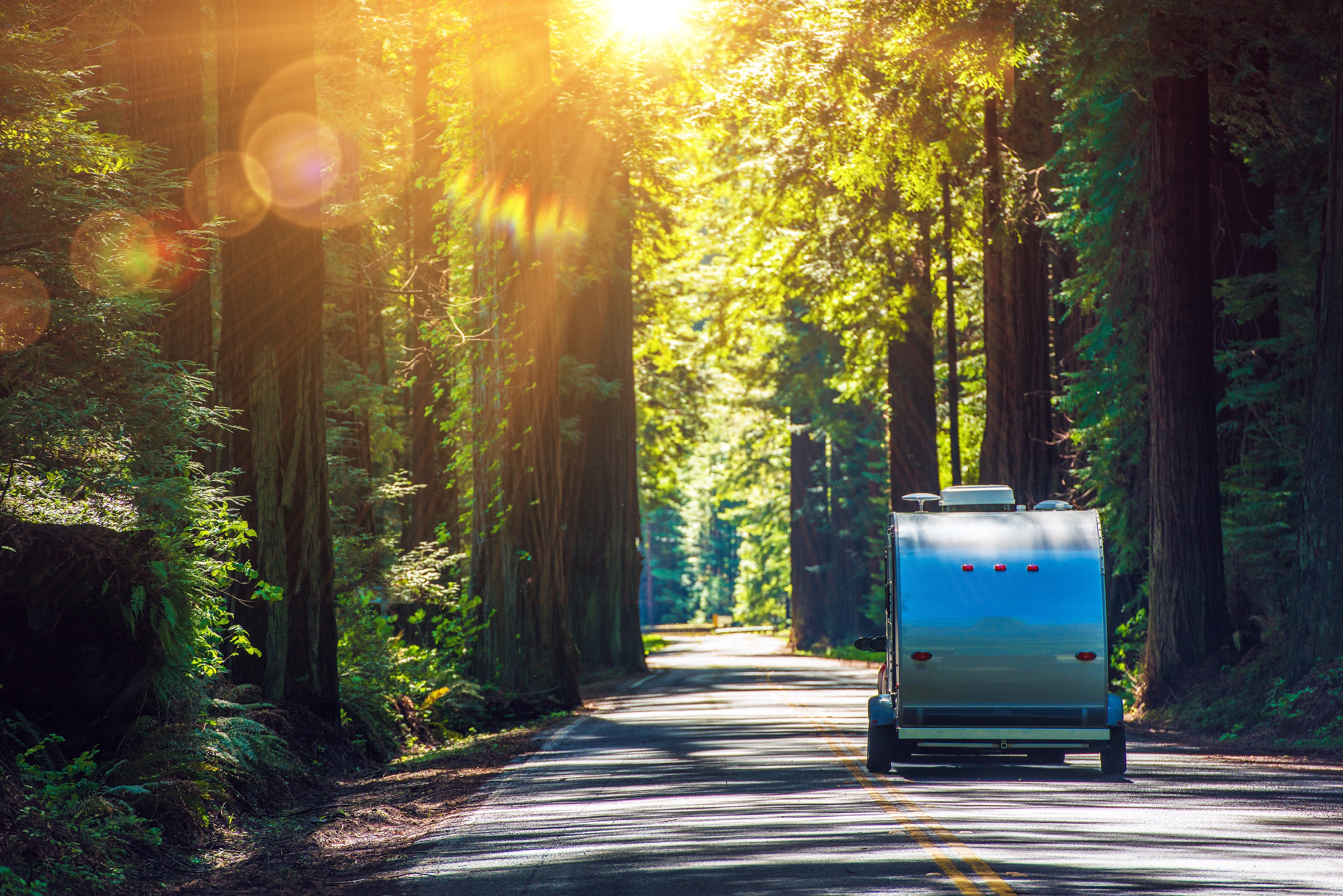 camper-on-road-in-forest